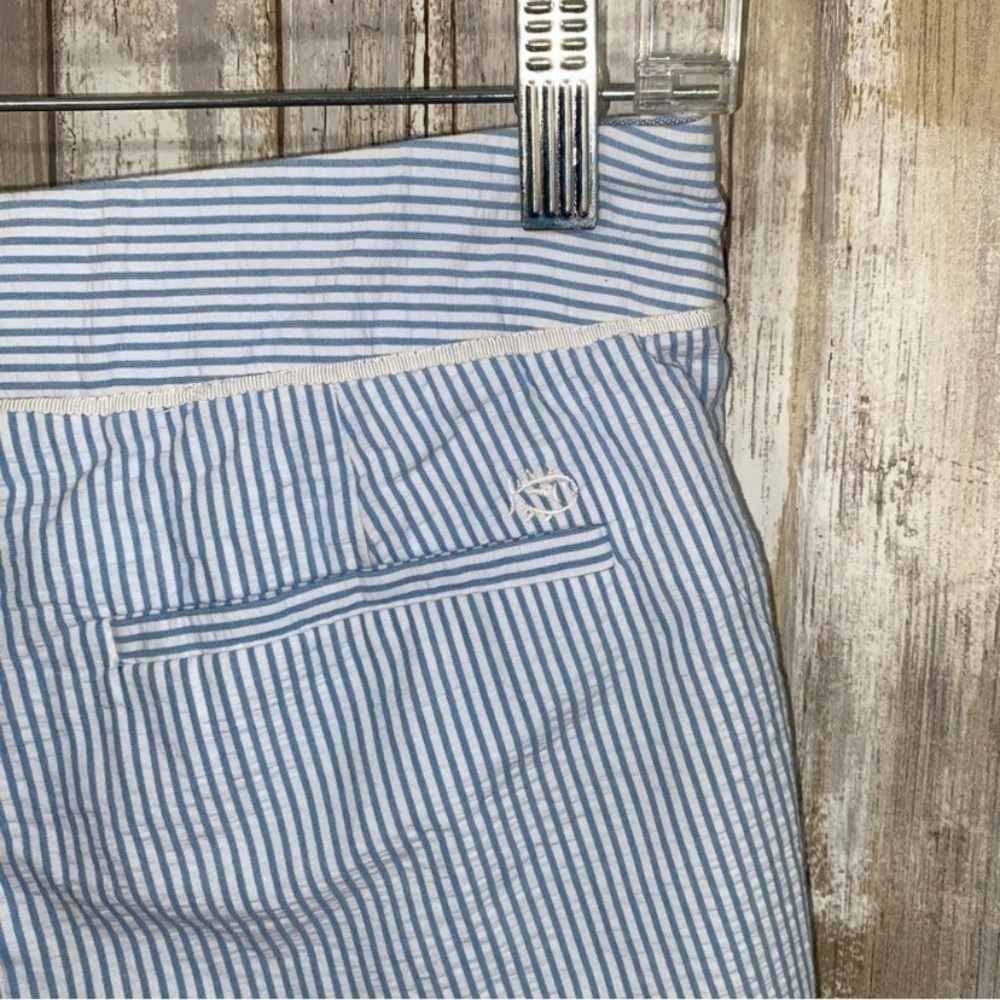 Southern Tide Blue Striped Shorts - Picture 4 of 6